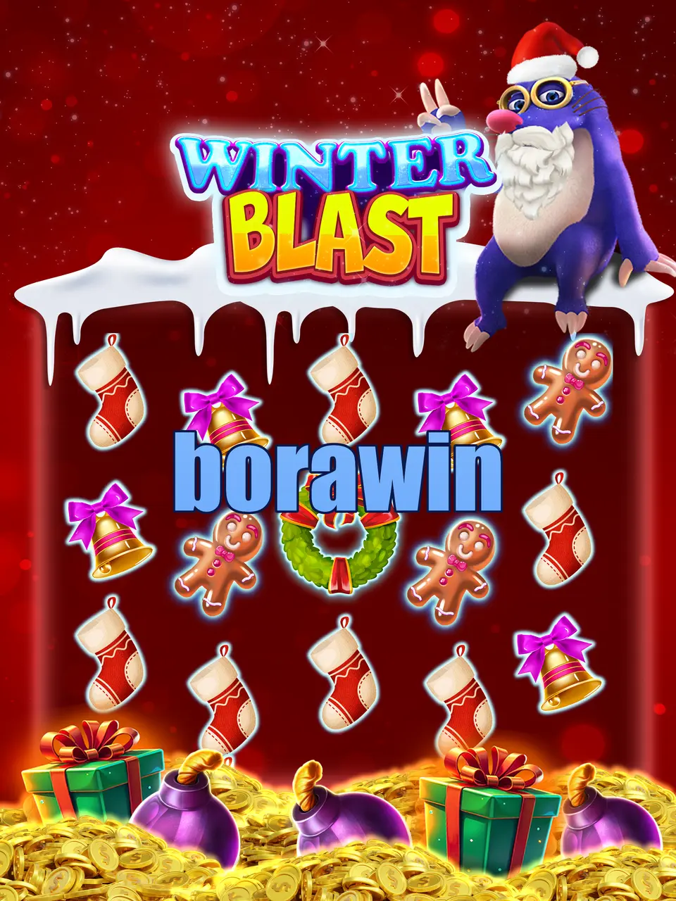 borawin Login