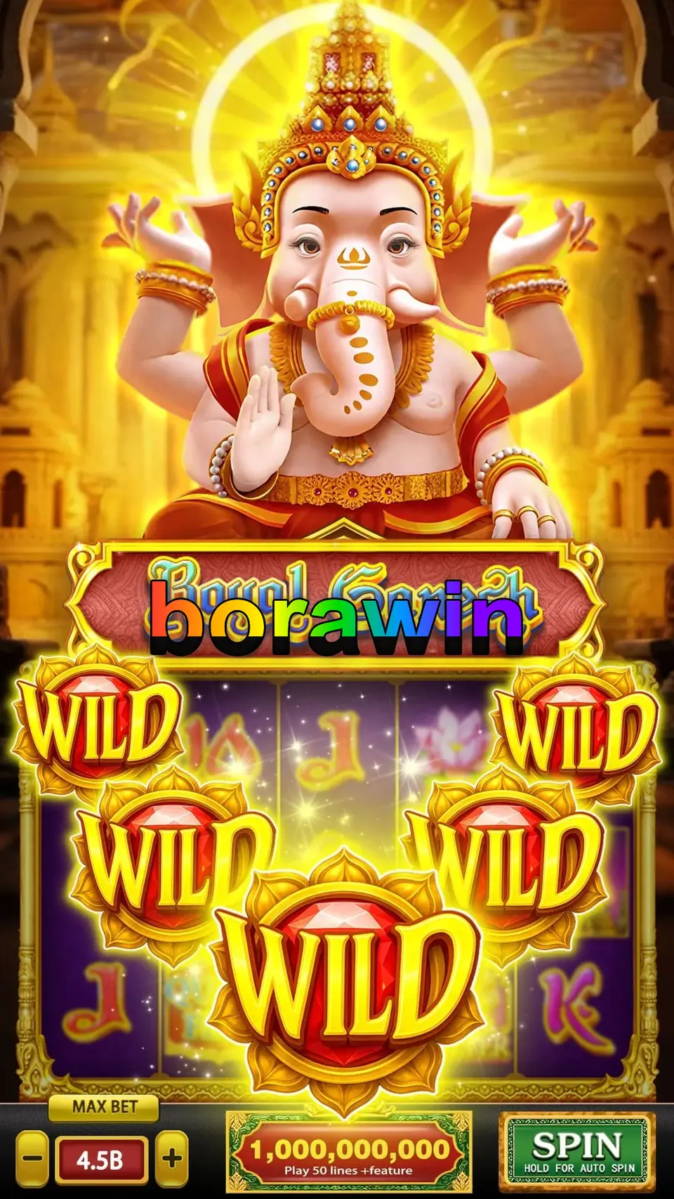 borawin Login