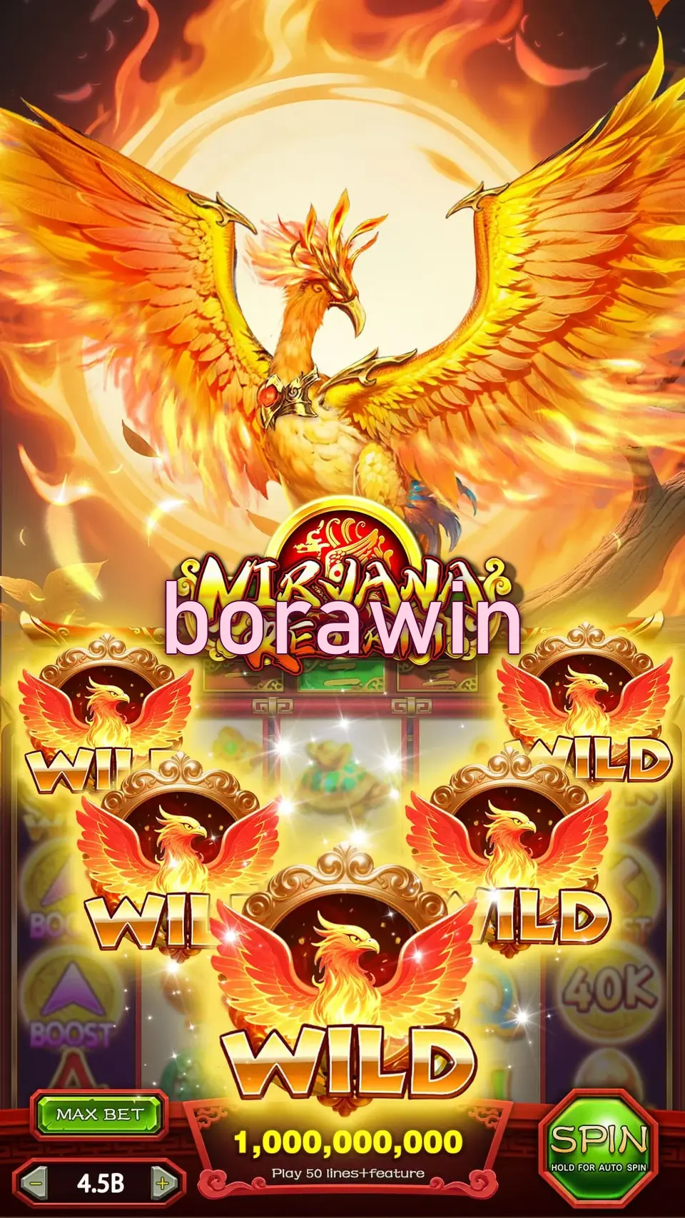 borawin Login
